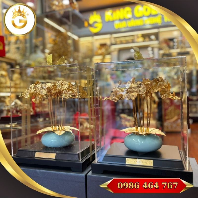 Quà Tặng Chậu Lan Vàng Ý Nghĩa - Hình ảnh 5