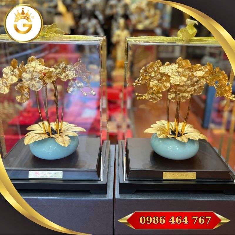 Quà Tặng Chậu Lan Vàng Ý Nghĩa - Hình ảnh 4