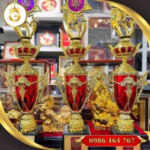 Nhận Sản Xuất Cúp Theo Yêu Cầu Tại Hồ Chí Minh