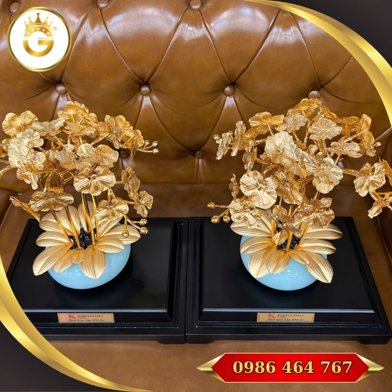 Quà Tặng Chậu Lan Vàng Ý Nghĩa